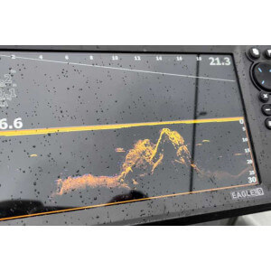 Obrázek 15 k Sonar LOWRANCE Eagle Eye 9 Live